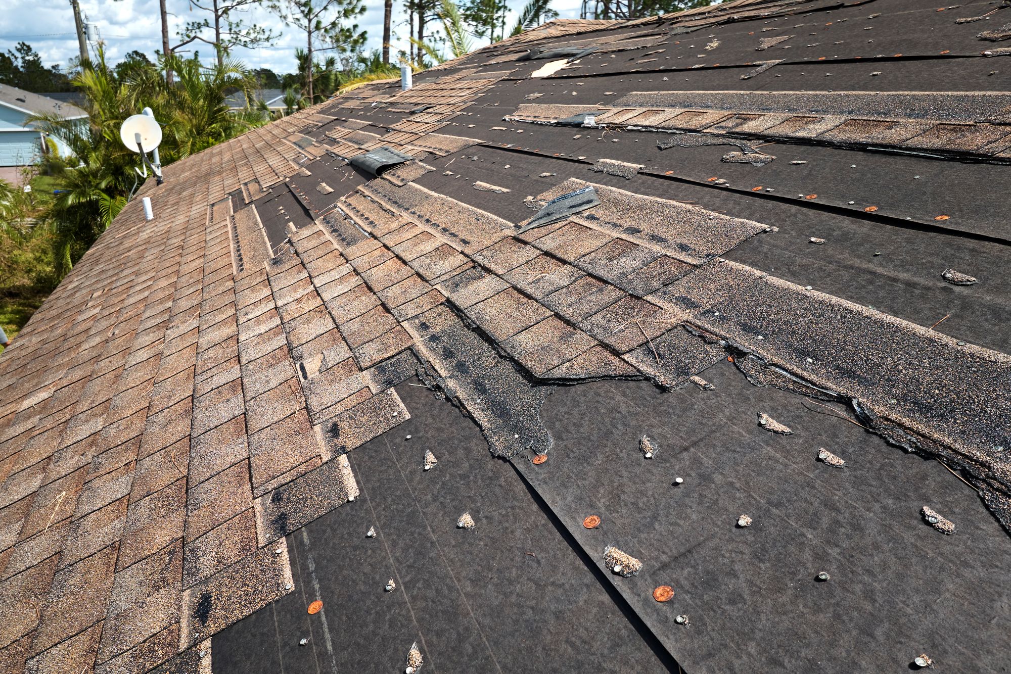 Residential asphalt shingle roof