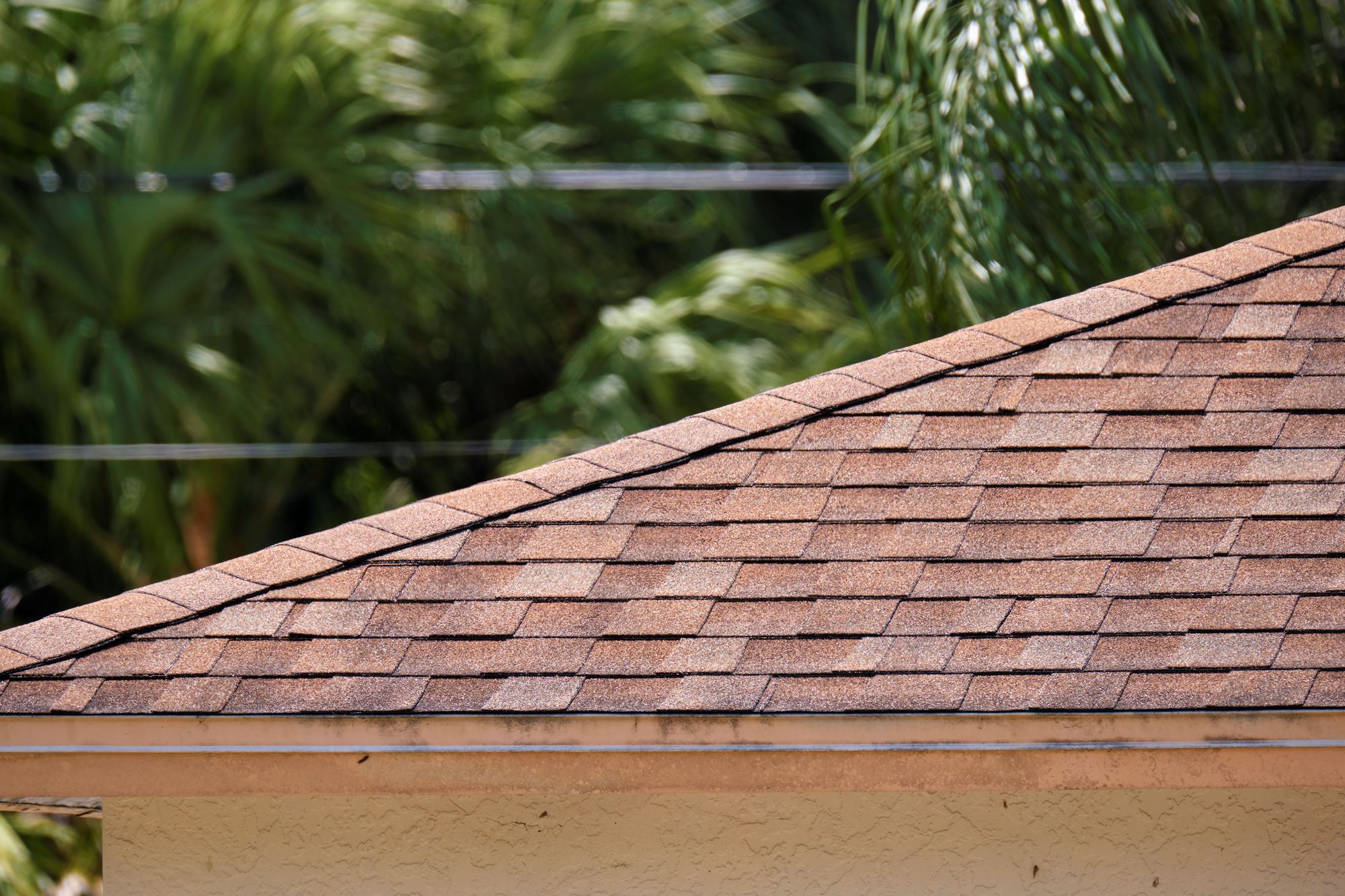 Shingle roofing repair in King County